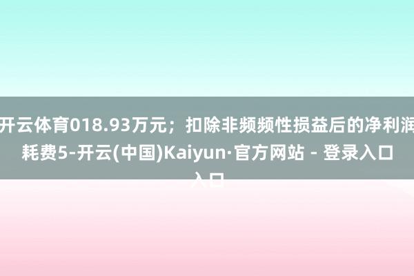 开云体育018.93万元；扣除非频频性损益后的净利润耗费5-开云(中国)Kaiyun·官方网站 - 登录入口