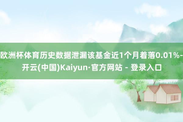 欧洲杯体育历史数据泄漏该基金近1个月着落0.01%-开云(中国)Kaiyun·官方网站 - 登录入口