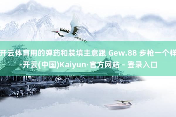 开云体育用的弹药和装填主意跟 Gew.88 步枪一个样-开云(中国)Kaiyun·官方网站 - 登录入口